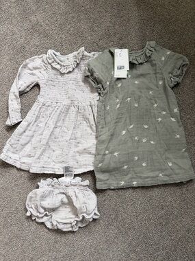 H&M Dress Bundle 2T-3T